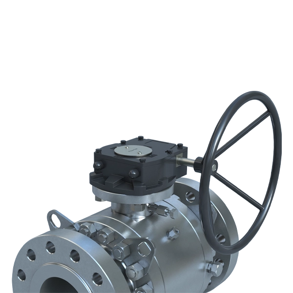 OPERADOR MANUAL SERIE FTG BRAY