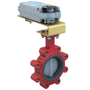 VÁLVULA DE MARIPOSA SERIE NY/AB BRAY