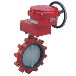 VÁLVULA DE MARIPOSA SERIE NY/AB BRAY