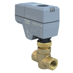 VÁLVULA DE GLOBO CON ROSCA SERIE CG/DG BRAY