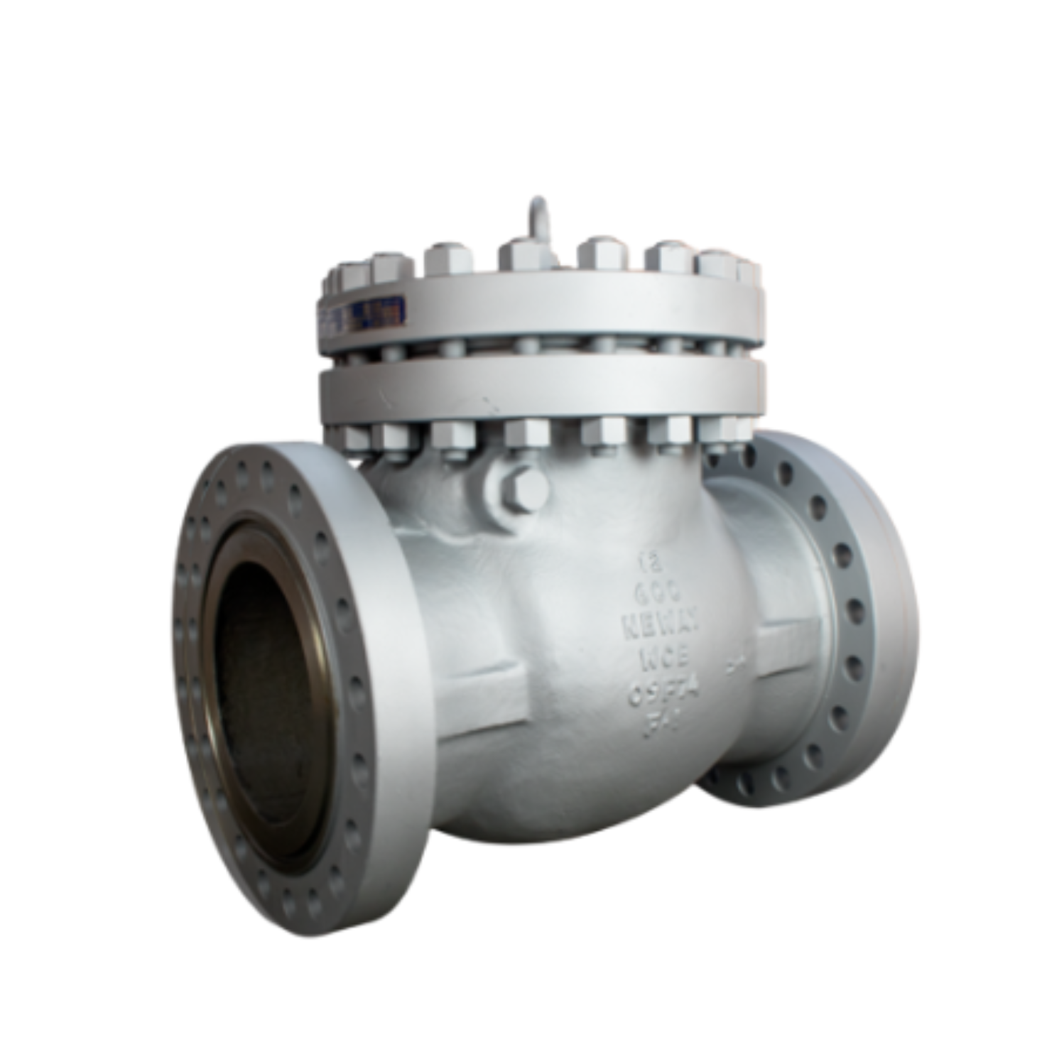 VÁLVULA DE RETENCIÓN  SERIE API 594  NEWAY