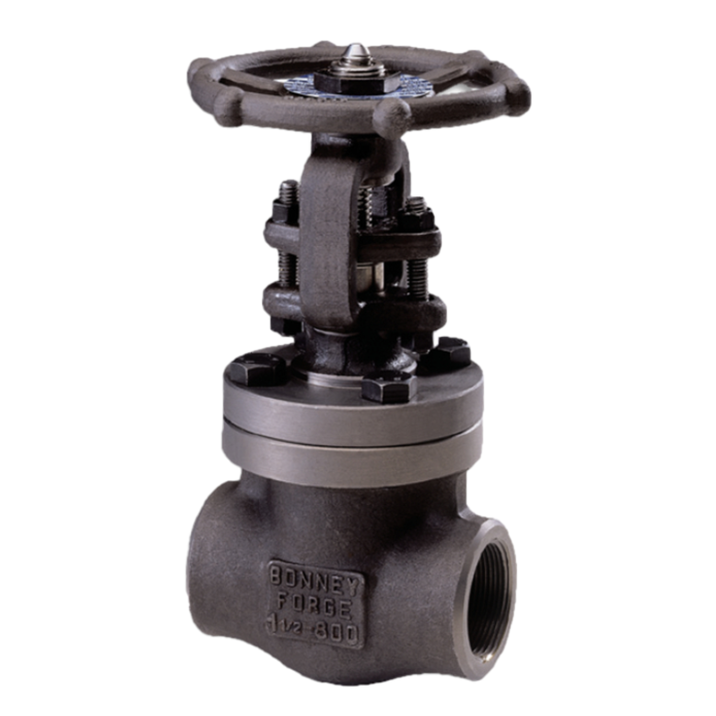 VÁLVULA DE COMPUERTA SERIE API 602 BONNEY FORGE