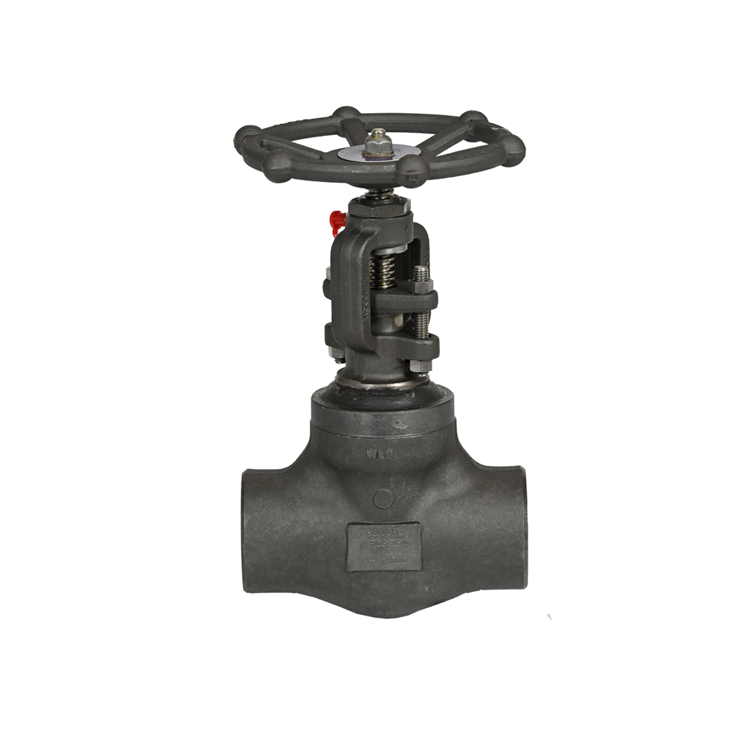 VÁLVULA DE GLOBO SERIE API 602 BONNEY FORGE