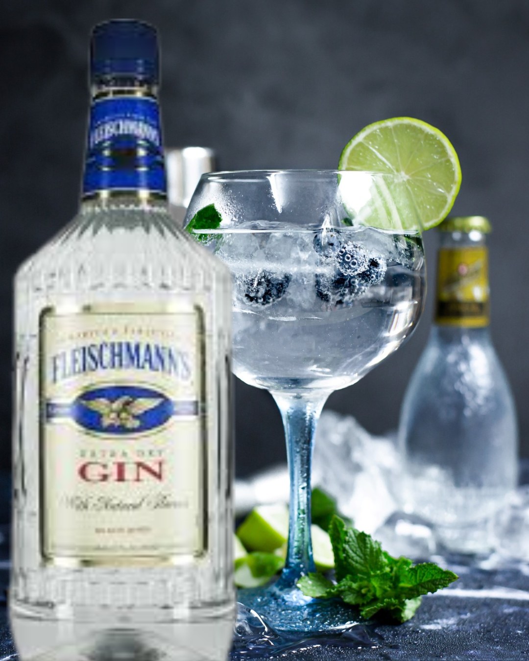 Fleischmann's Gin