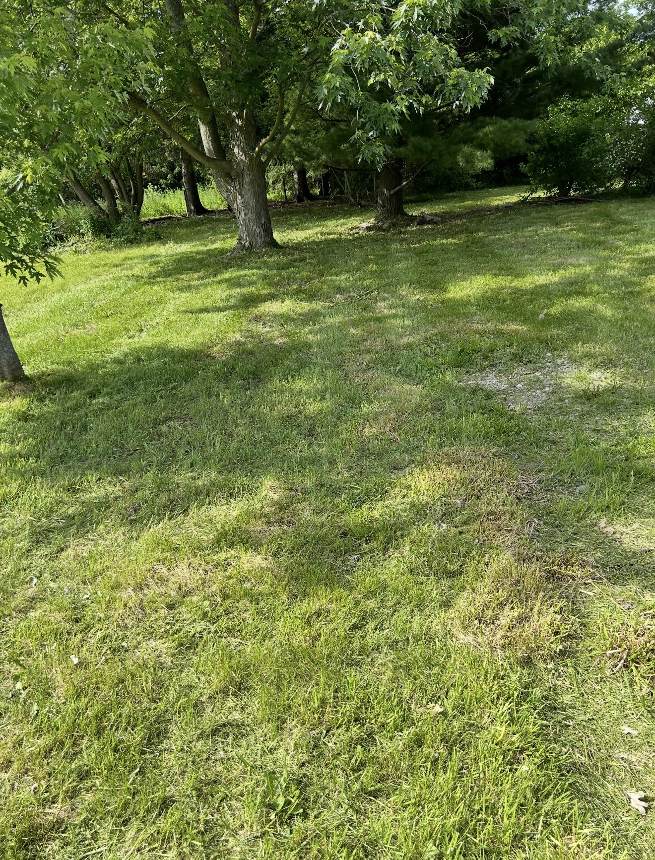 Burton - MI E Maple Ave