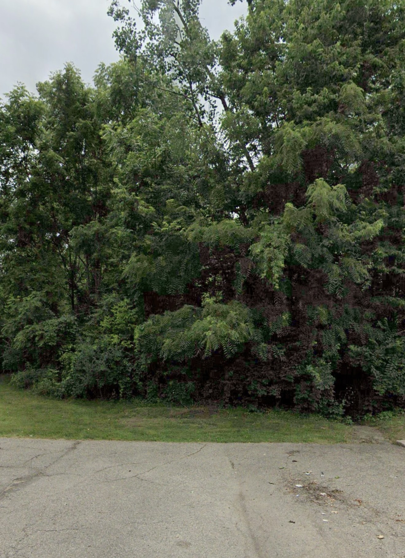 Flint - MI Flushing Rd