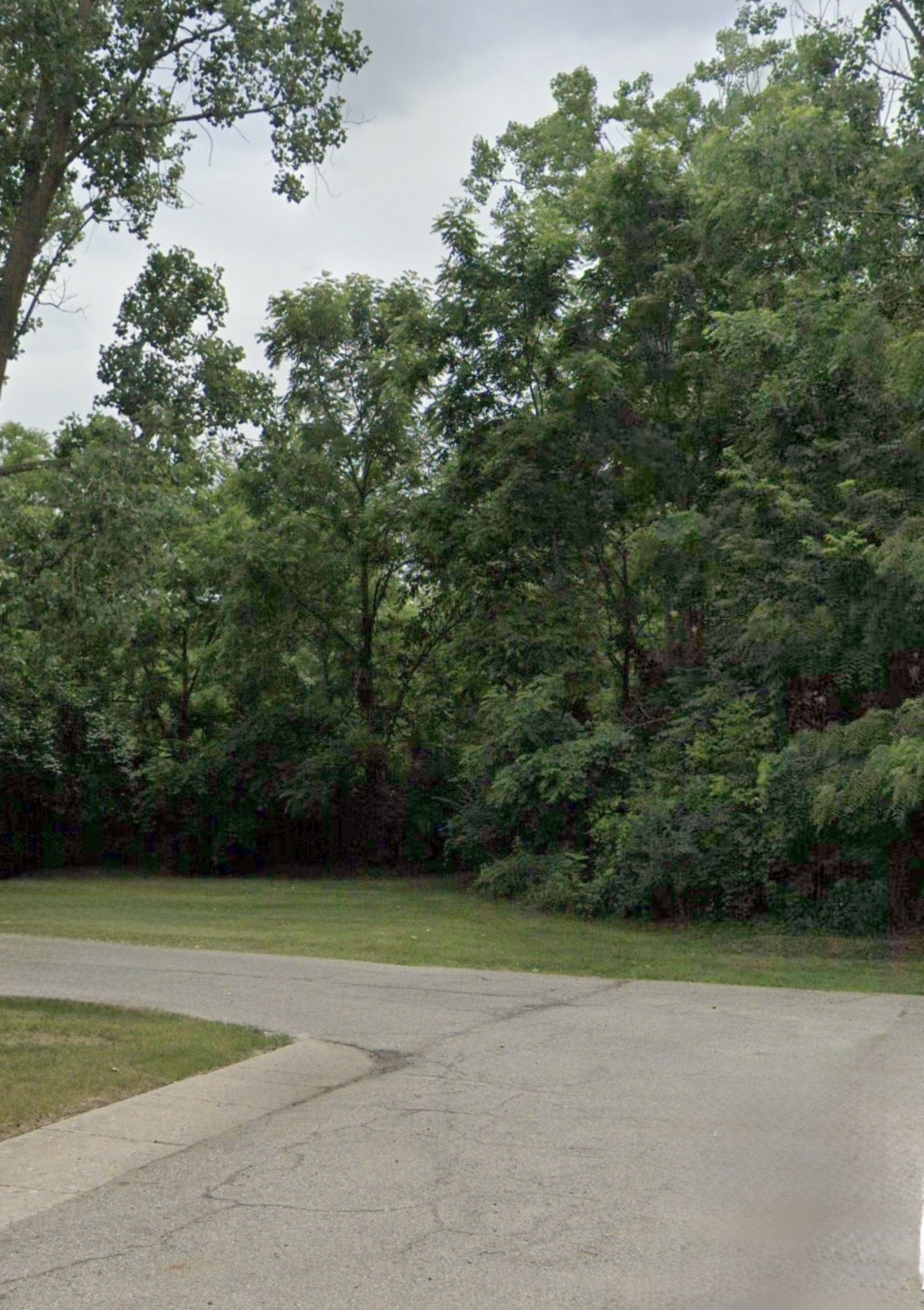 Flint - MI Flushing Rd