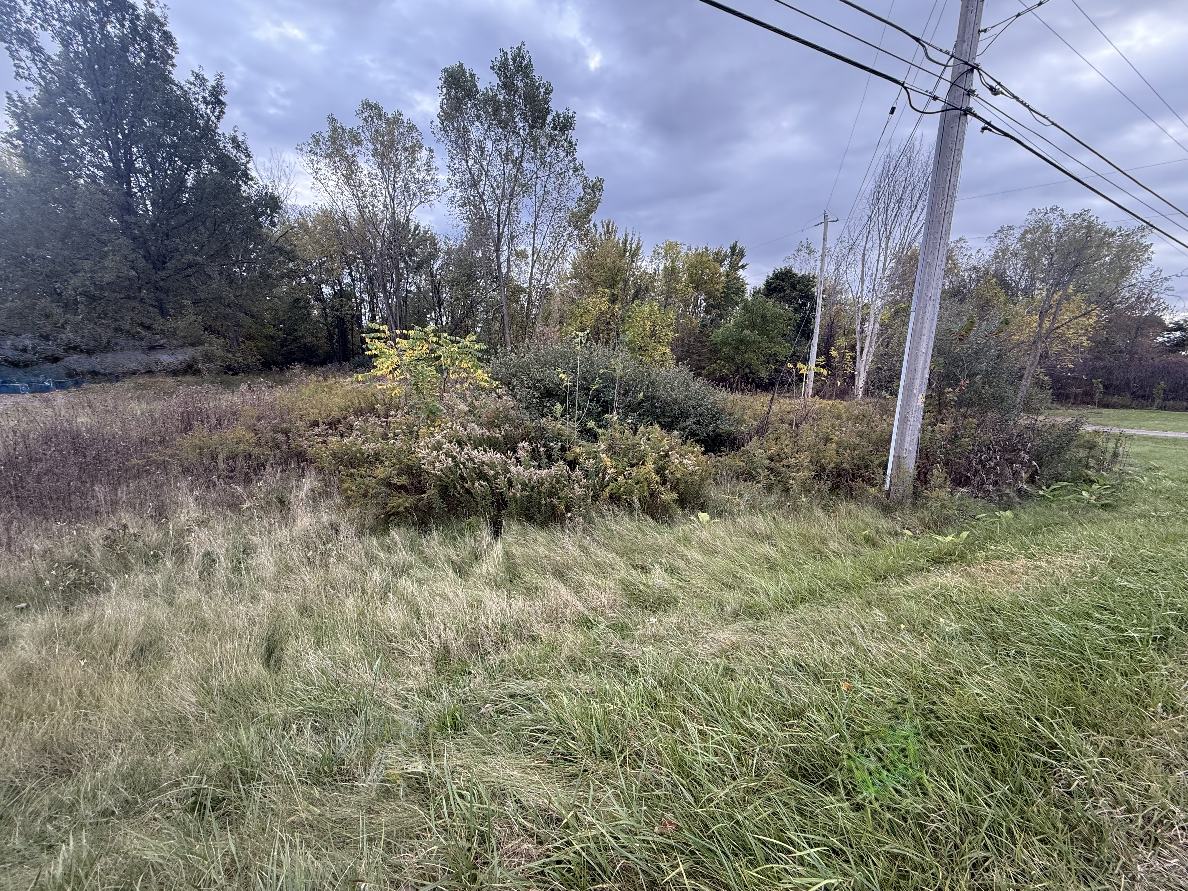 Clayton Township - MI Corunna Rd