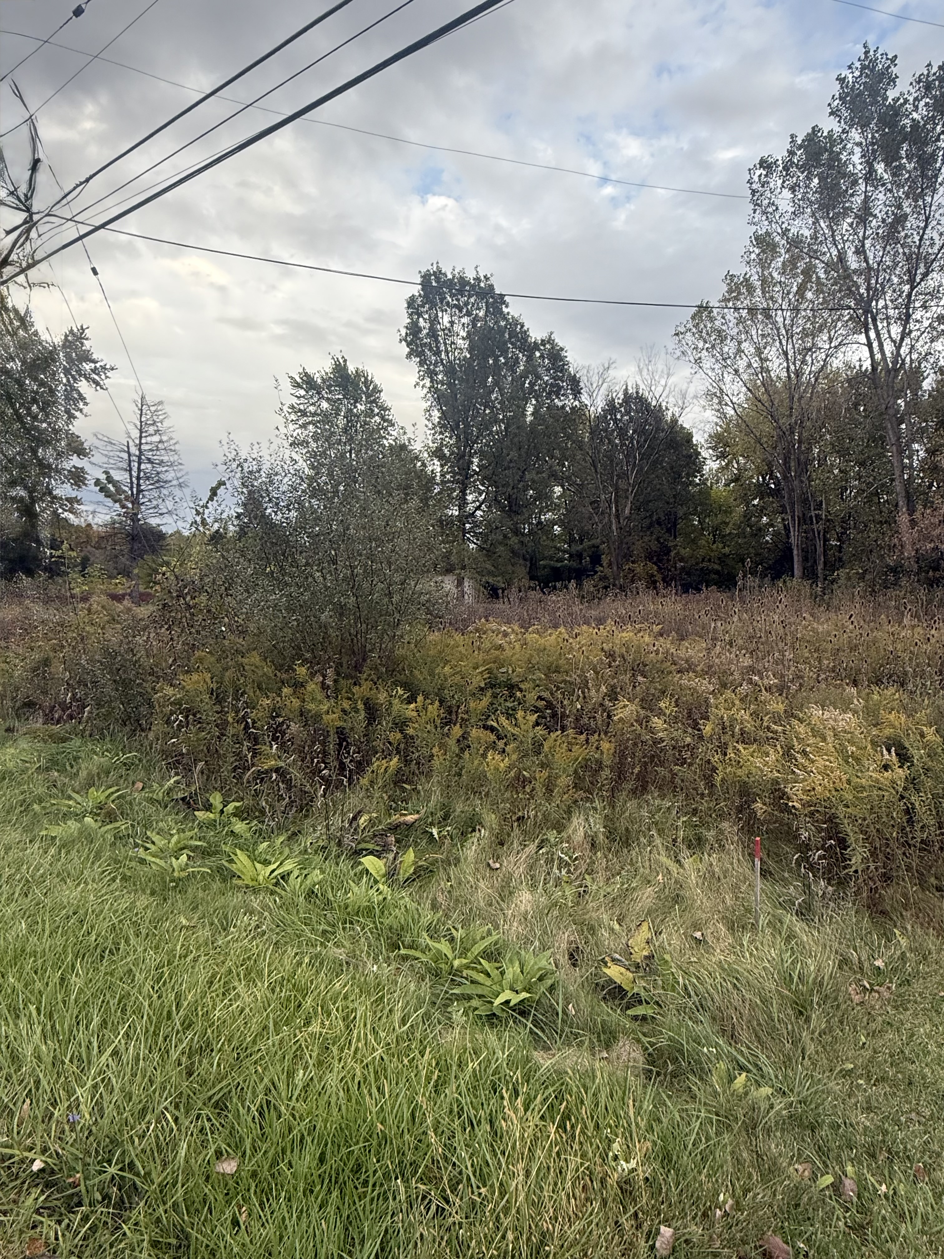 Clayton Township - MI Corunna Rd