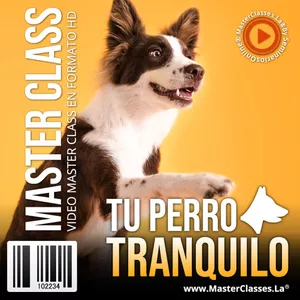 Curso Virtual: Tu Perro Tranquilo