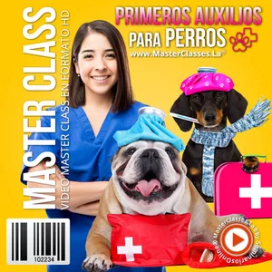 Curso Virtual: Primeros Auxilios para Perros