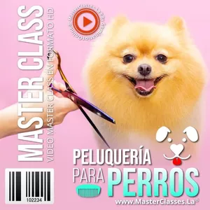 Curso Virtual: Peluqueria para Perros