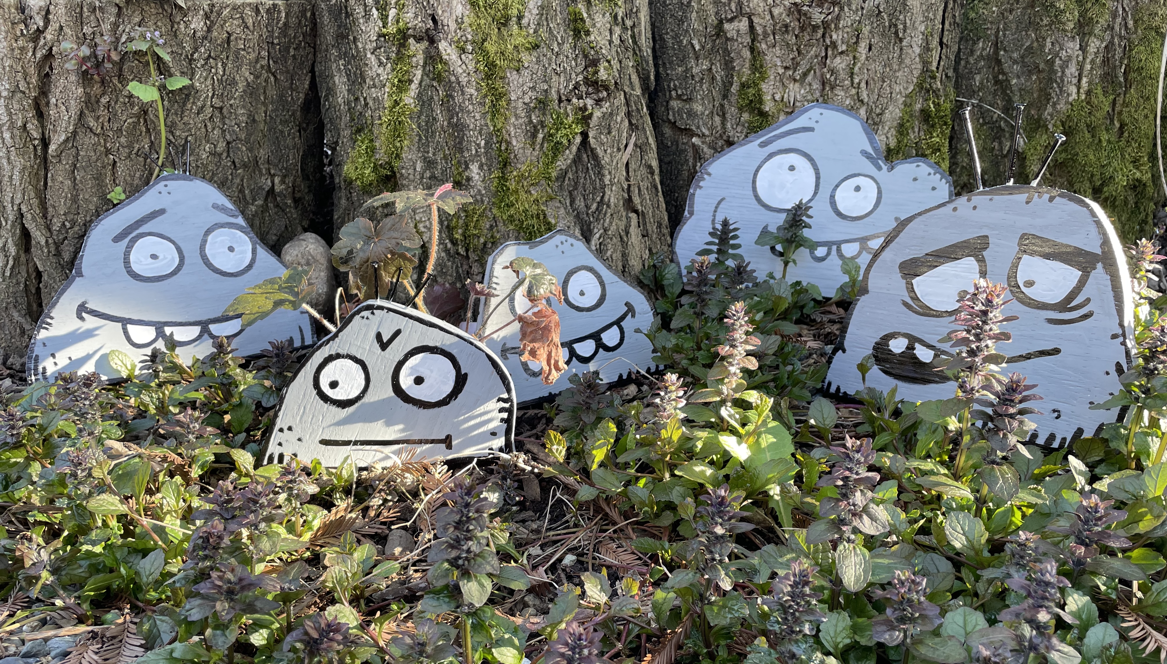 Pet Rock