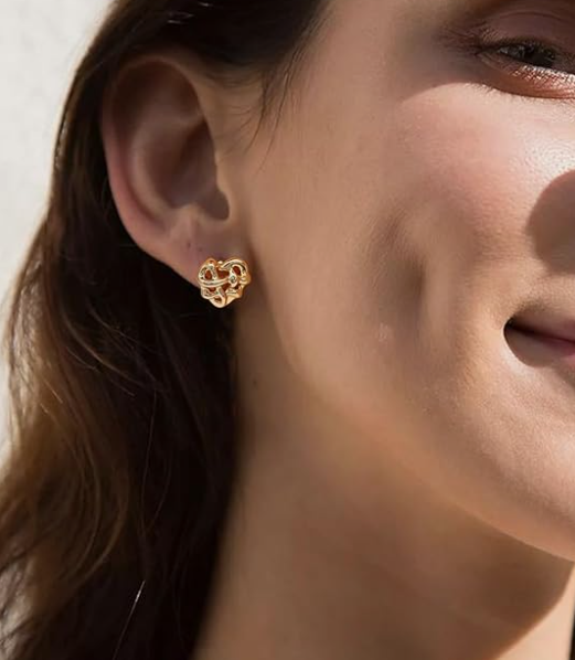 Teulrip Irregular Heart Valentine Geometric Stainless Steel Earrings for Girls & Women