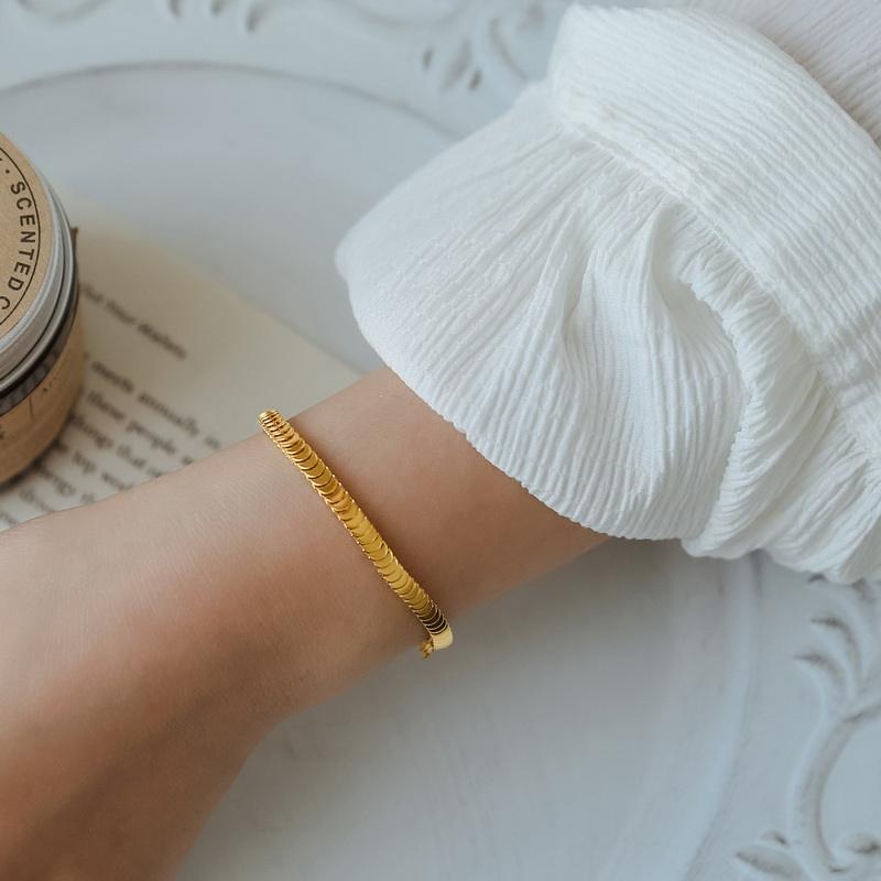 TEULRIP Titanium Steel Fish Scale - Unisex Bracelet