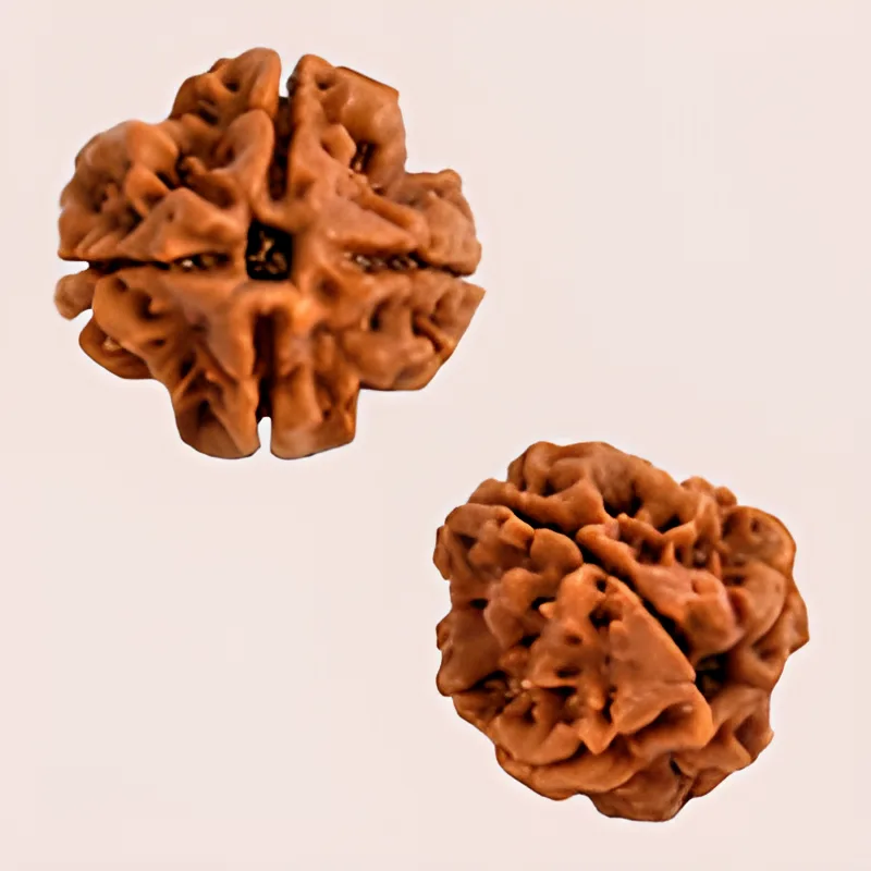 4 Mukhi Nepal Rudraksha Beads