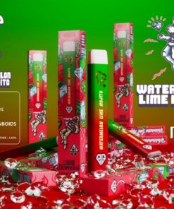 Watermelon Lime Mojito