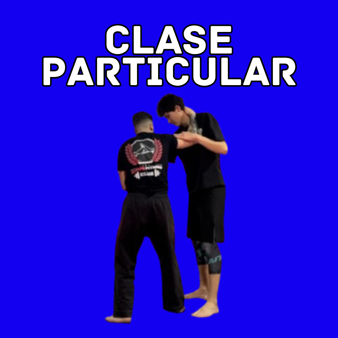 CLASES PARTICULARES