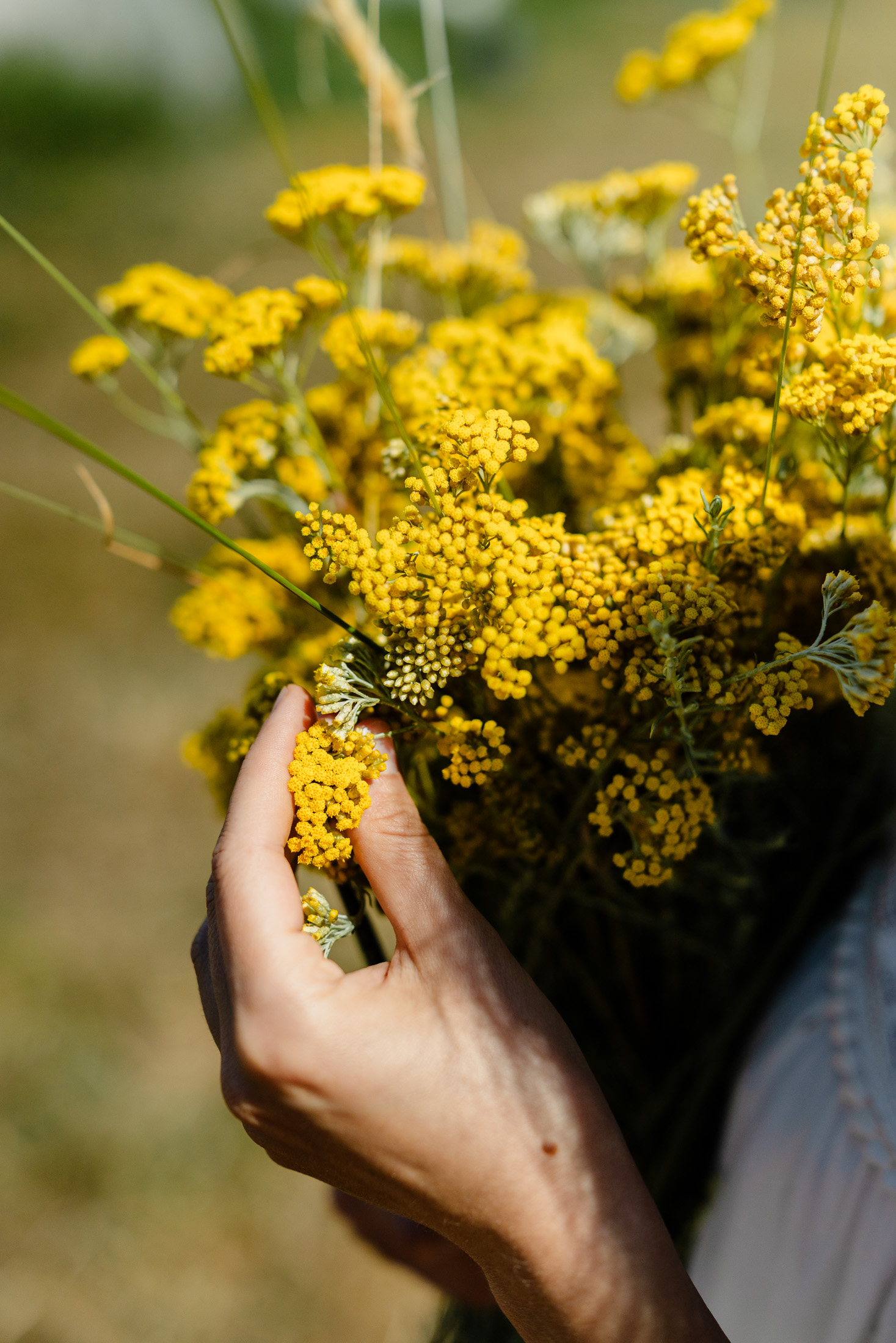 Atelier Rituels Bienfaisants - avec Sibylle Naturopathe 