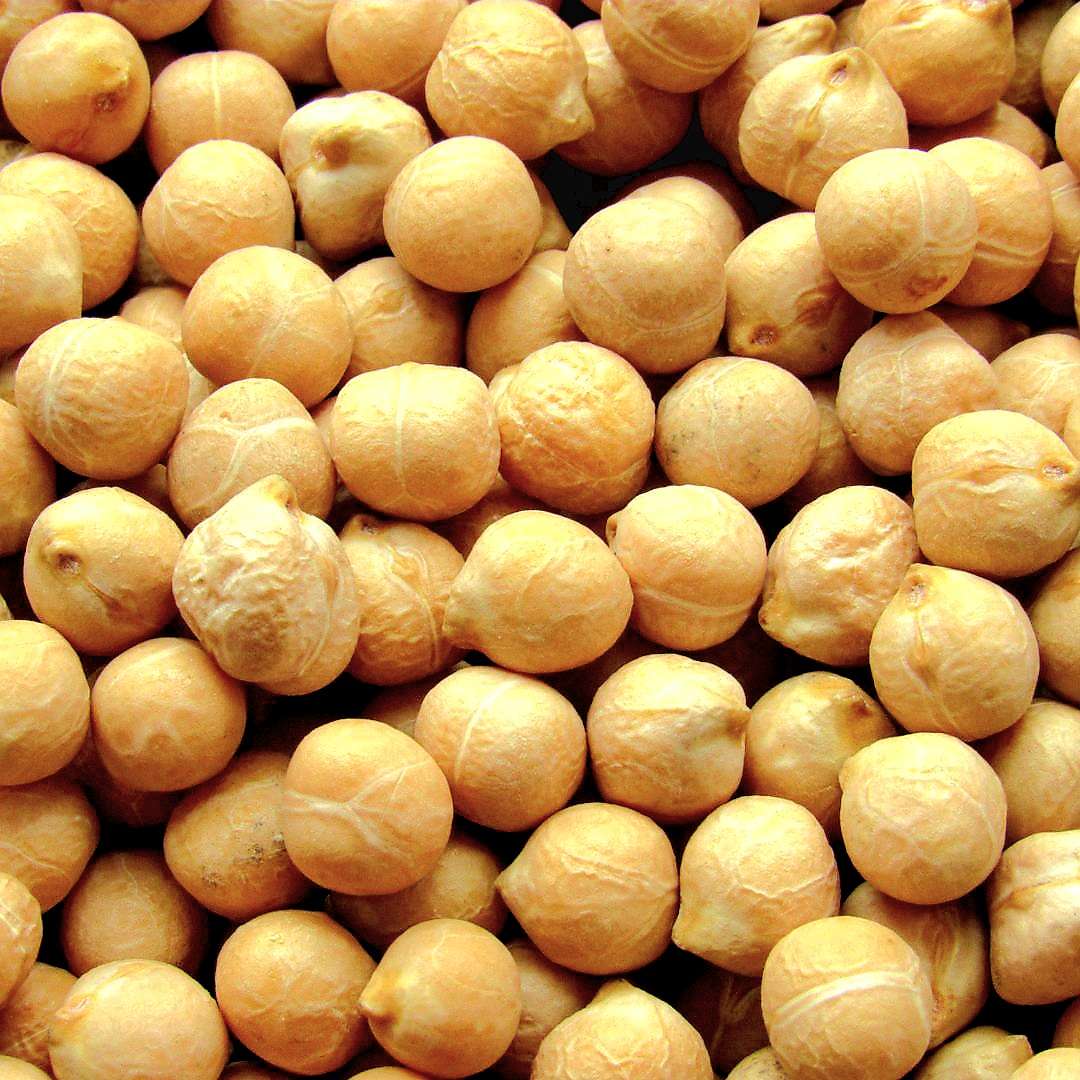 I Ceci del Cilento selezione Casa Arpaia