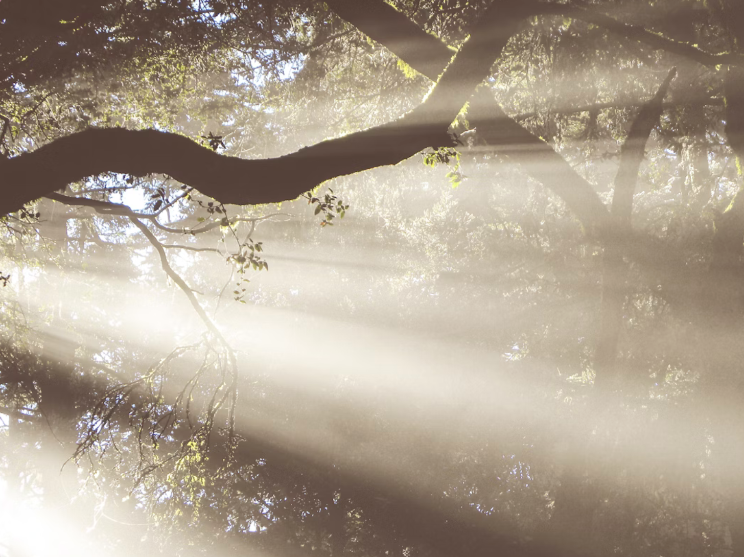 Spiritual Health and Healing