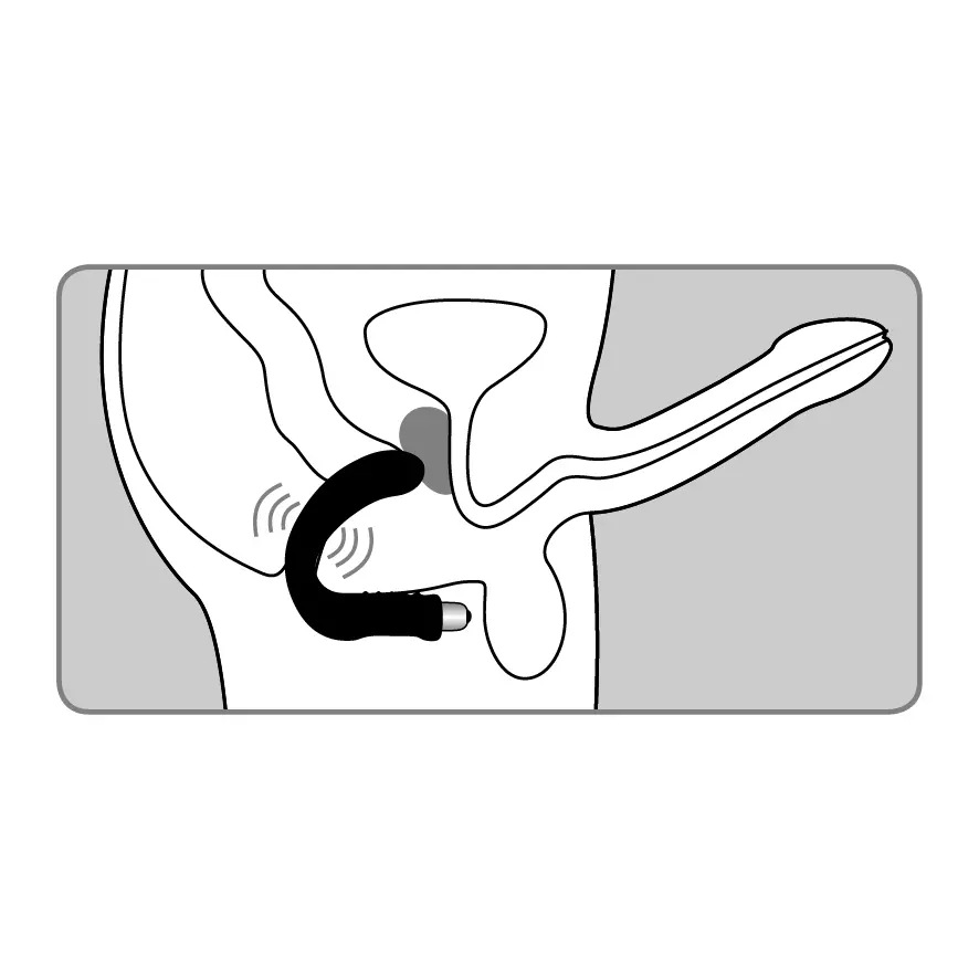 Joystick Prostata Booster, black