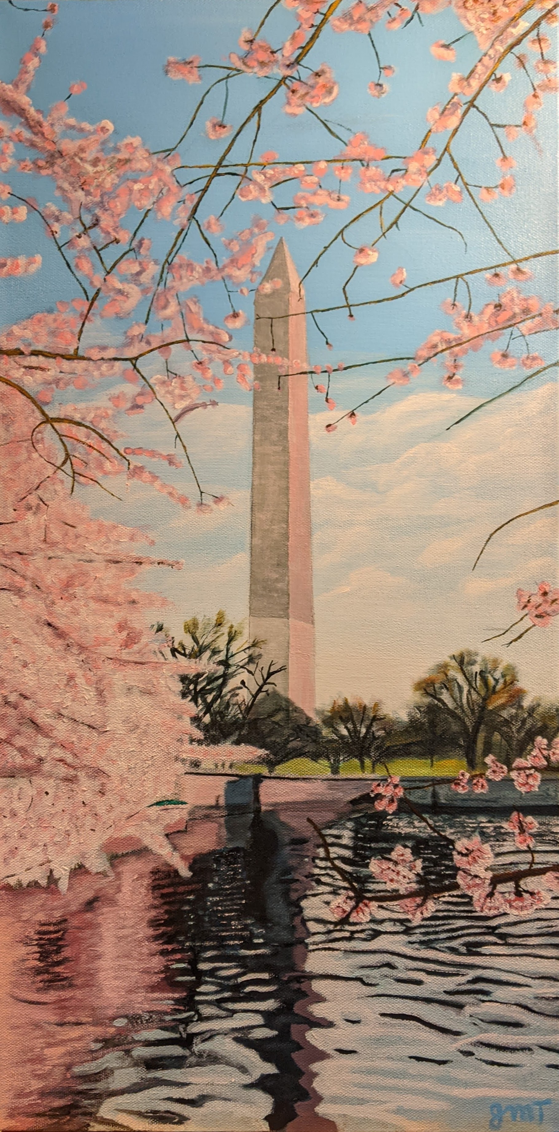 Cherry Blossoms at Washington Monument (24" x 12" x 0.75")