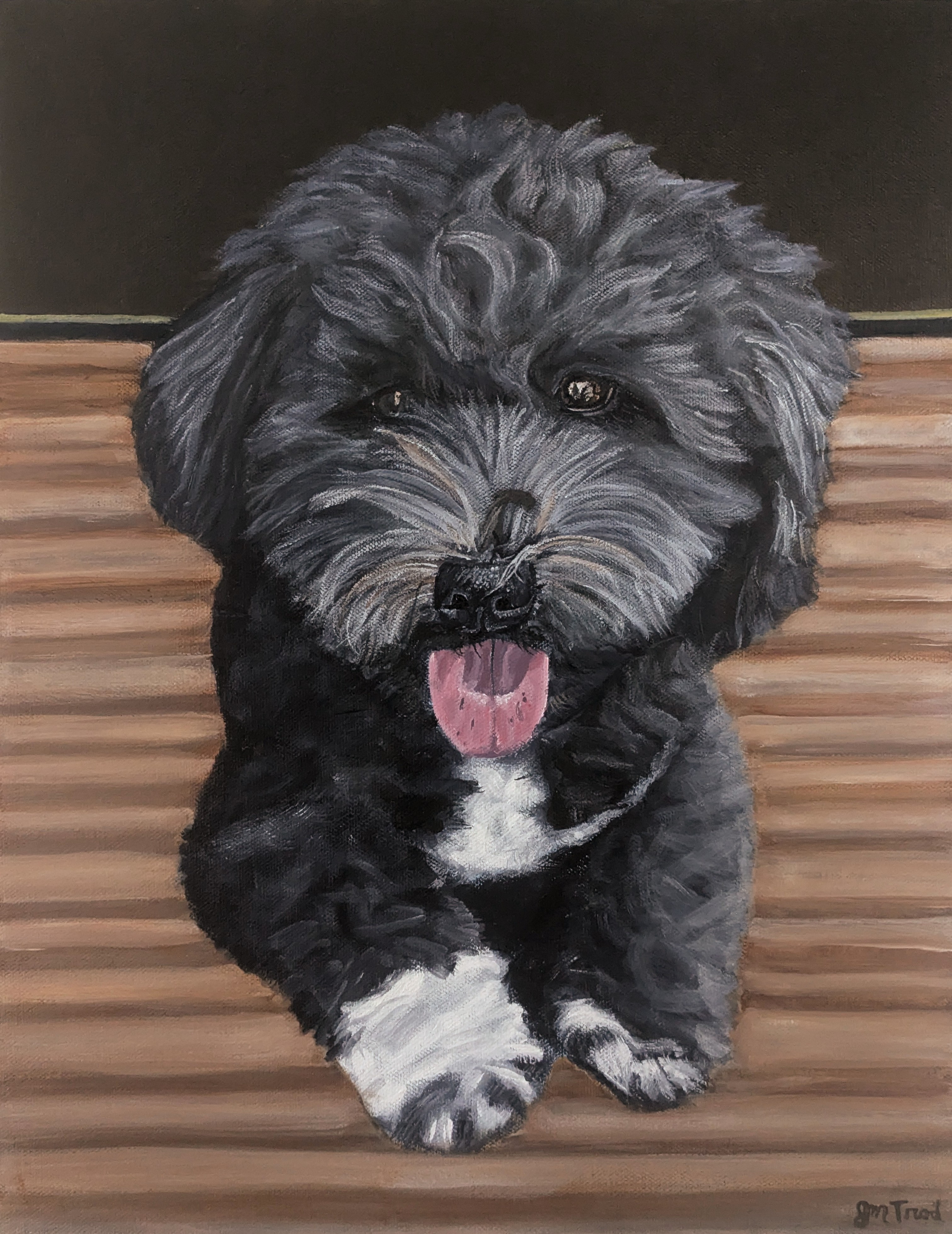 Harry #2 (18" x 14" x 0.75")