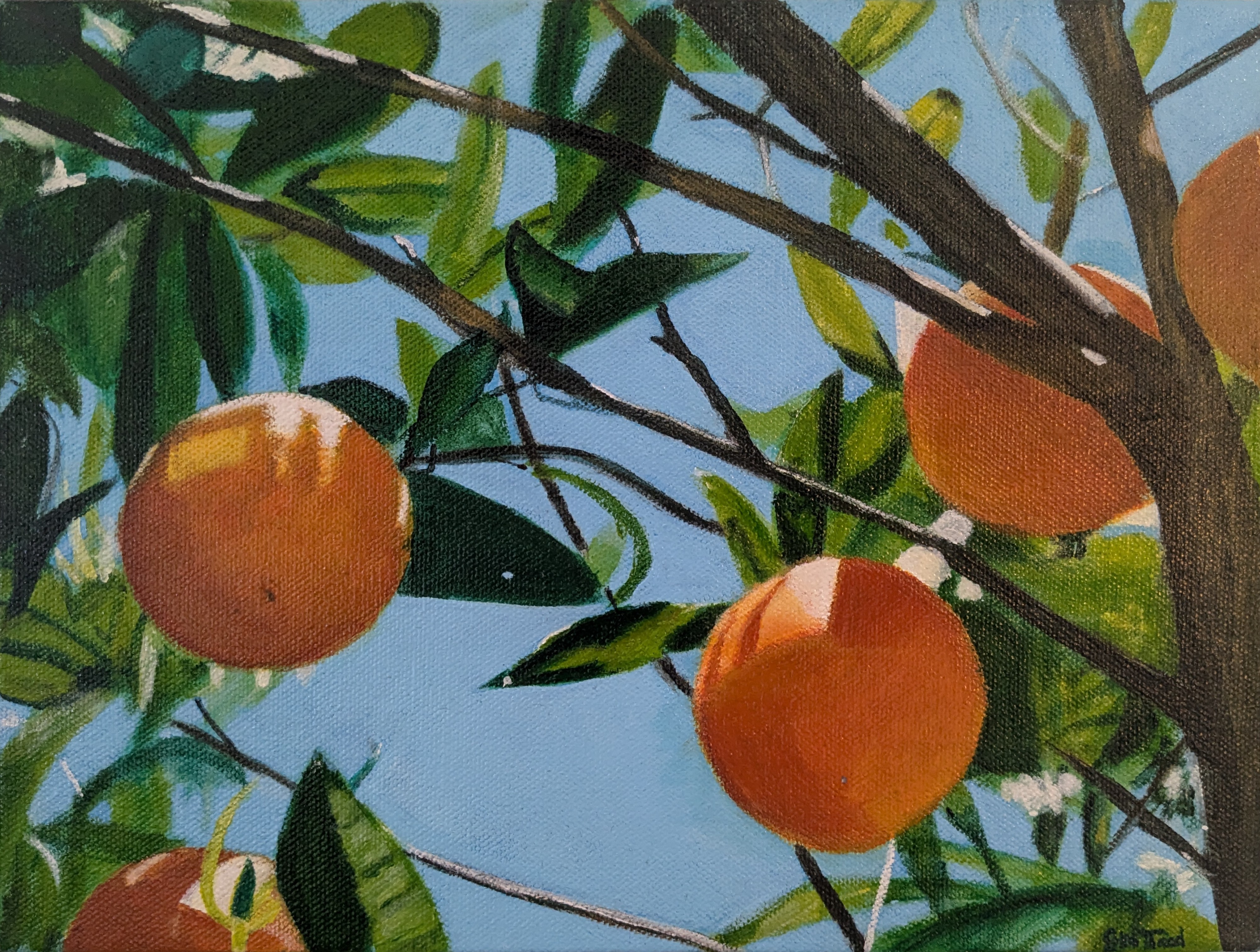 Orange Tree on a Sunny Day (9" x 12" x 1.5")