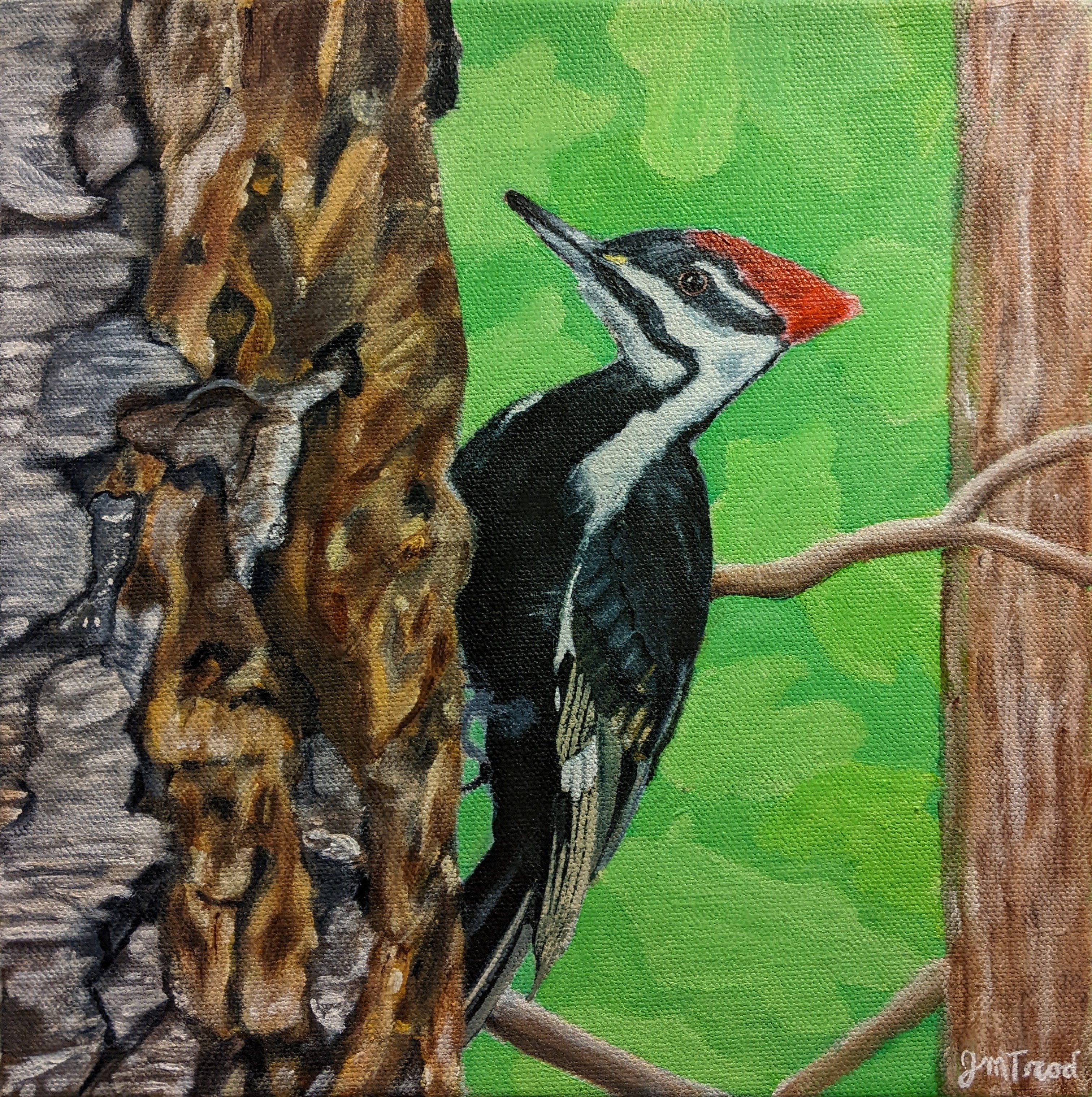 The Pileated Woodpecker (12" x 12" x 1.5")