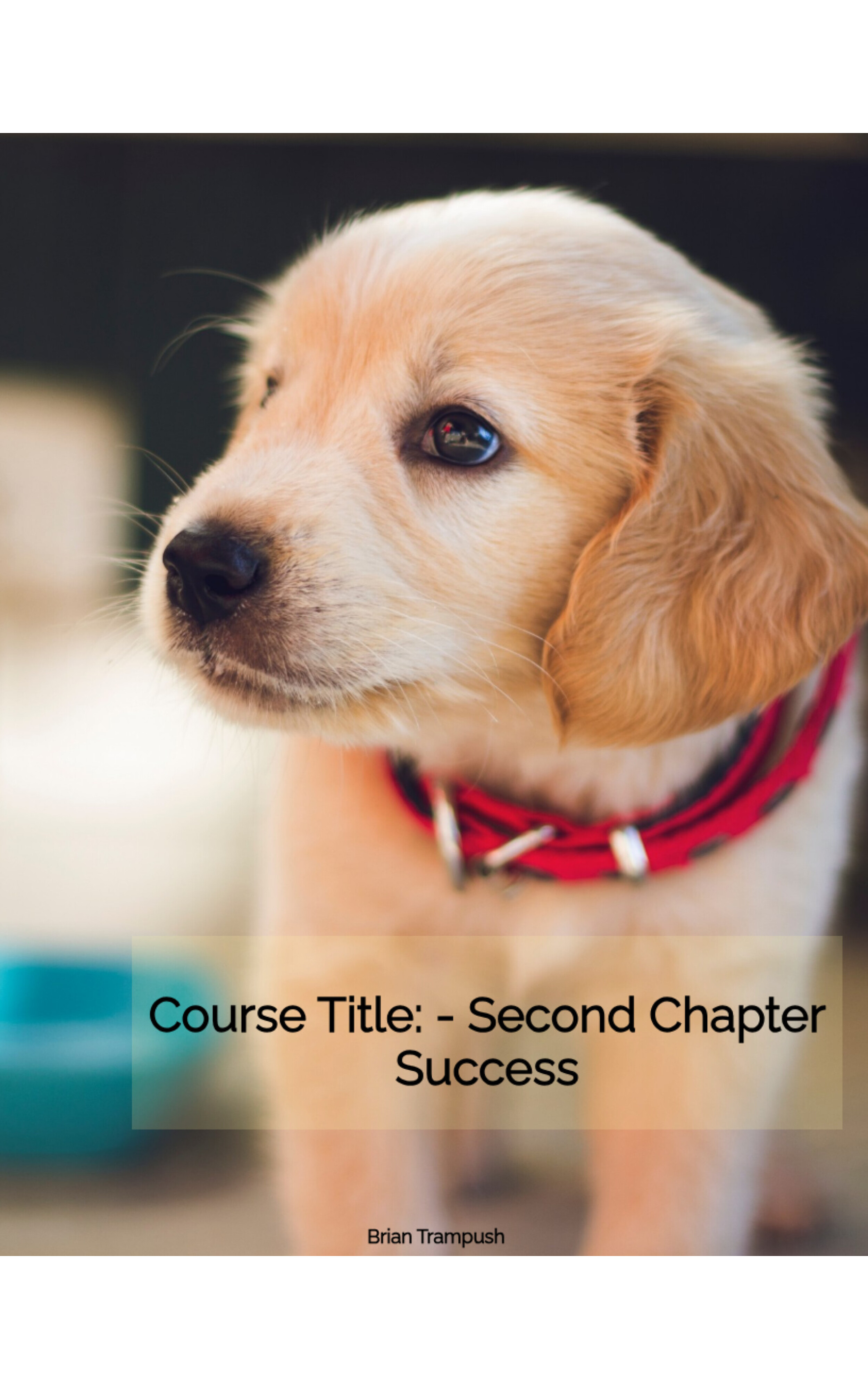 Course Title: Second Chapter Success