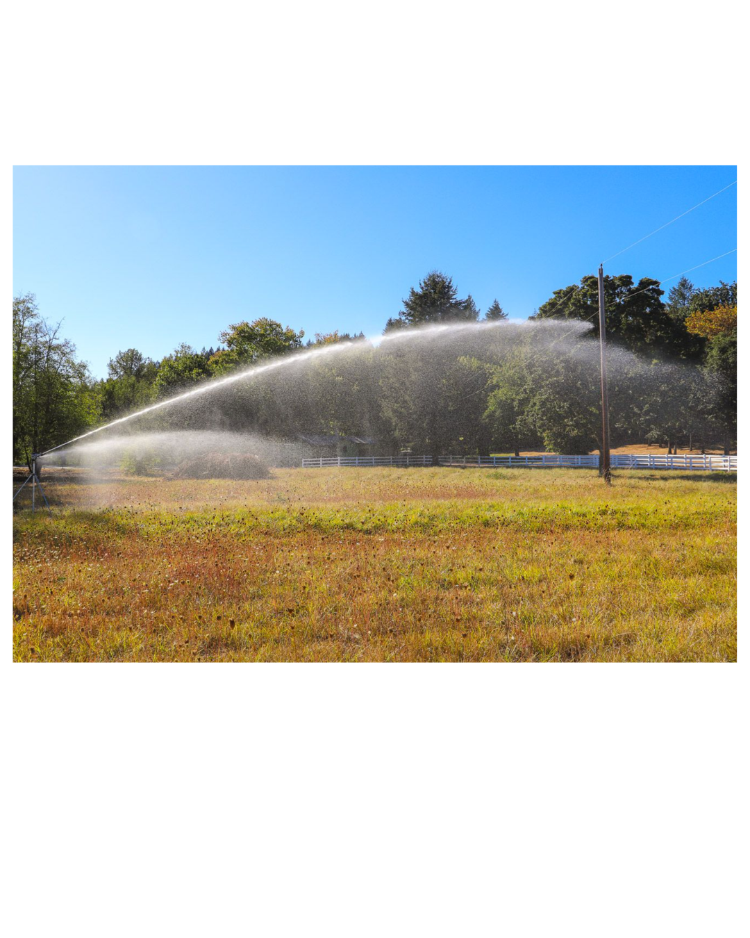 The Heavy-Duty Impact Sprinkler Package