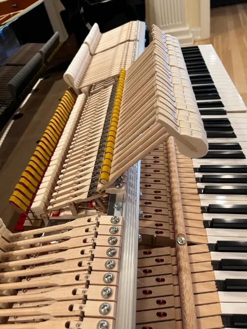 👀 Observer Access – Full Workshop + Q&A (No Playing)