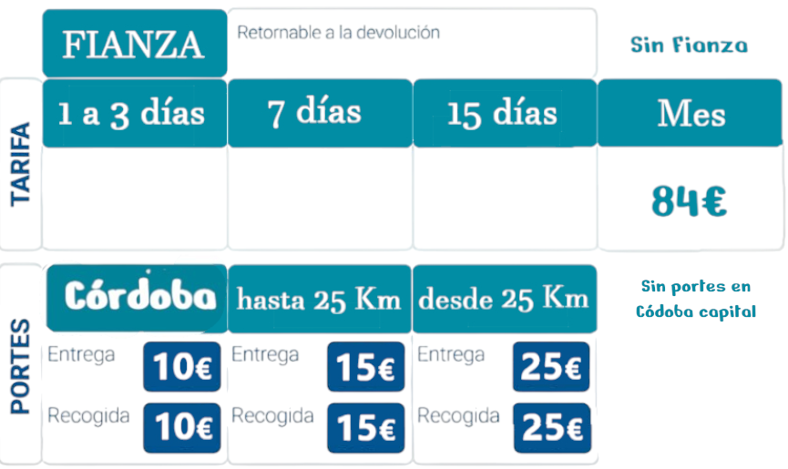 Cama articulada eléctrica con colchón sanitario