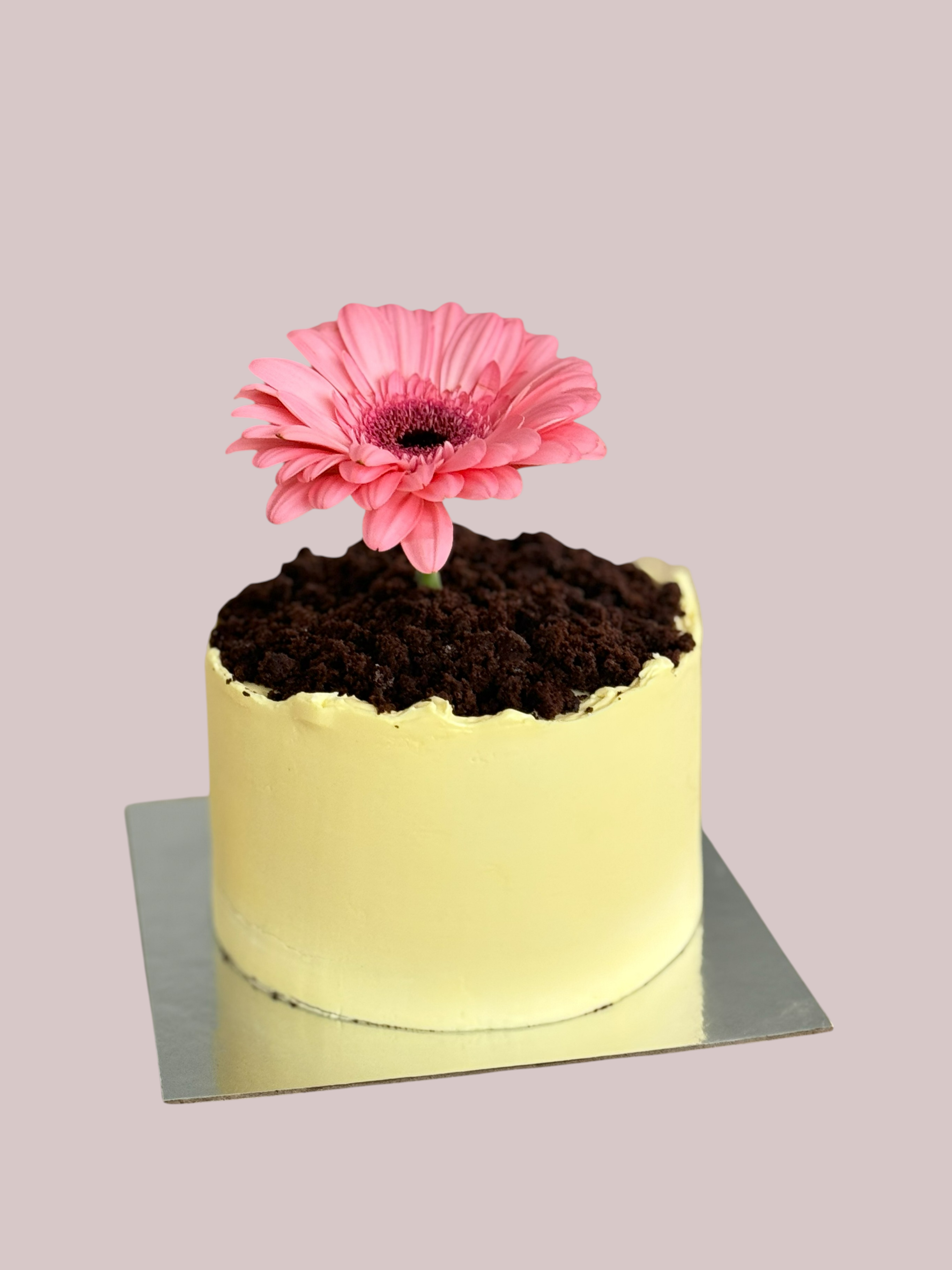 Torta na MDŽ Bratislava – originálny sladký darček 🌷