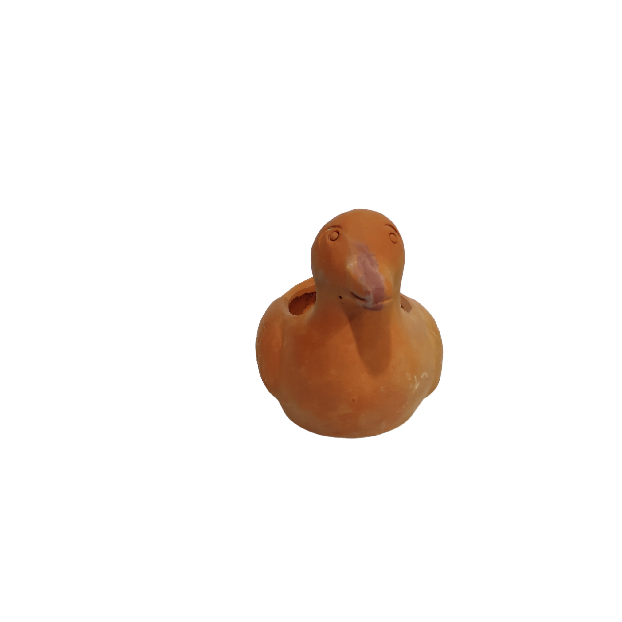 Duck Planter
