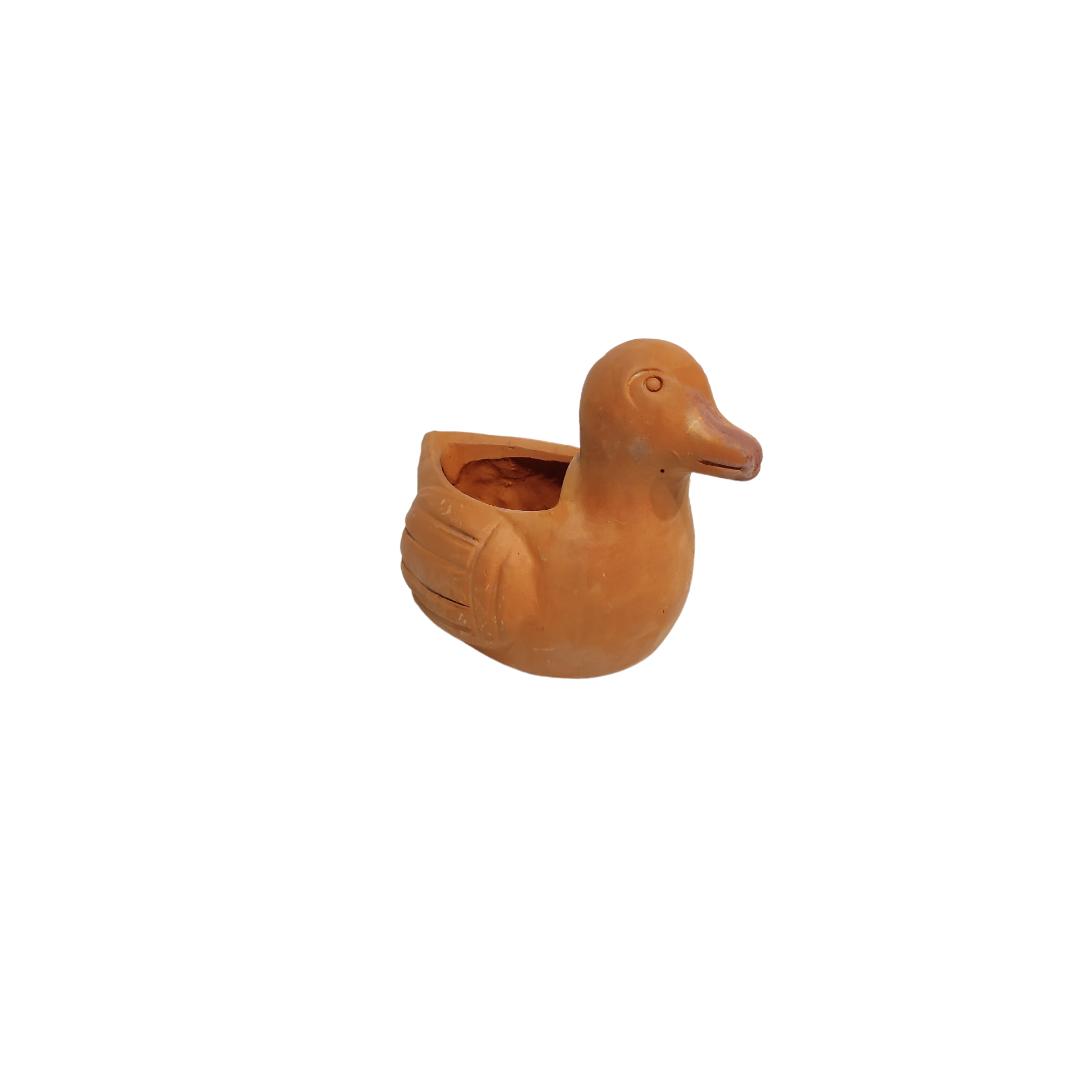 Duck Planter