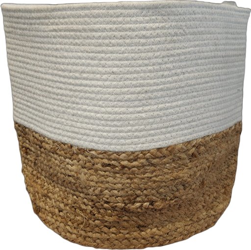 PLANTER-4