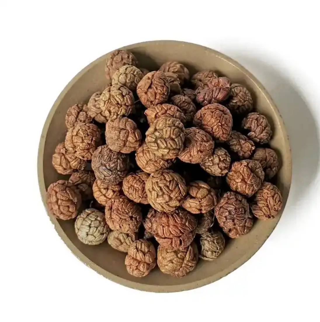 Premium Grade Katsumadas Galangal Seeds (Cao Dou Kou) (3 oz)