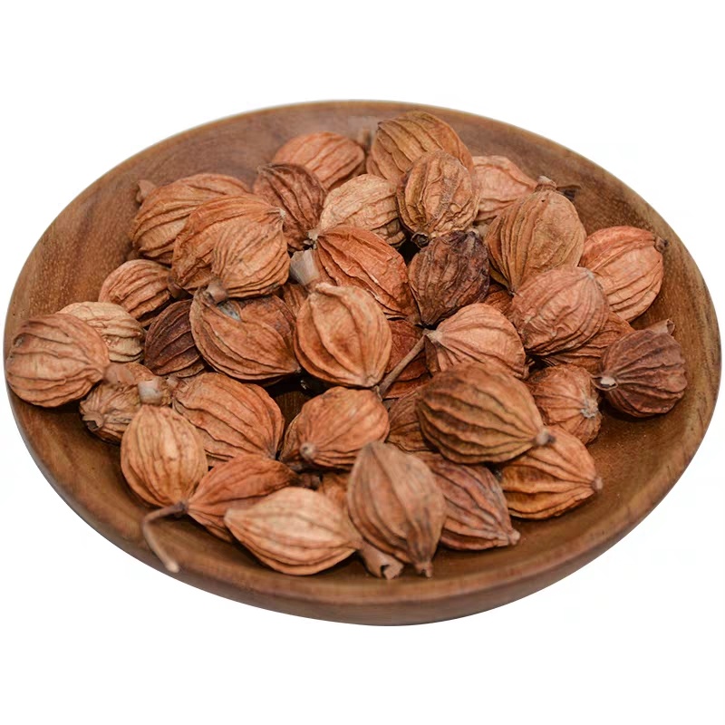 Premium Grade Amomum villosum (Sha Ren) (3 oz)