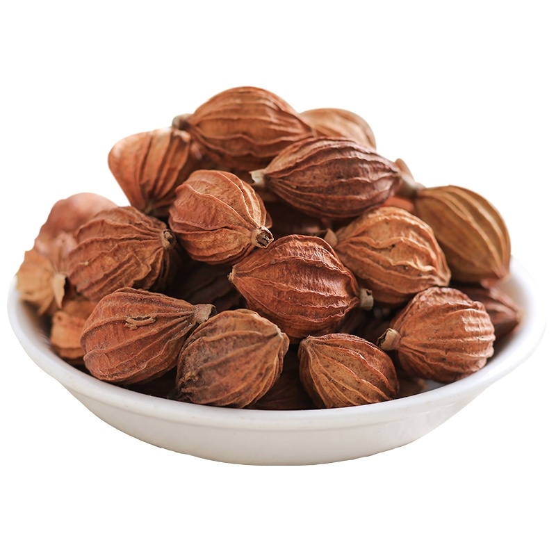 Premium Grade Amomum villosum (Sha Ren) (3 oz)