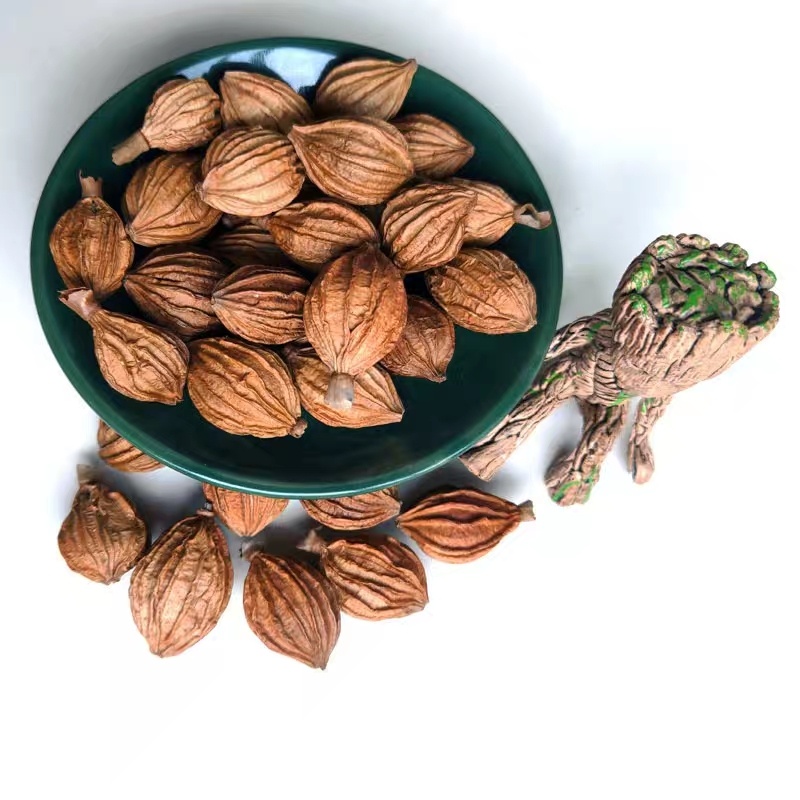 Premium Grade Amomum villosum (Sha Ren) (3 oz)