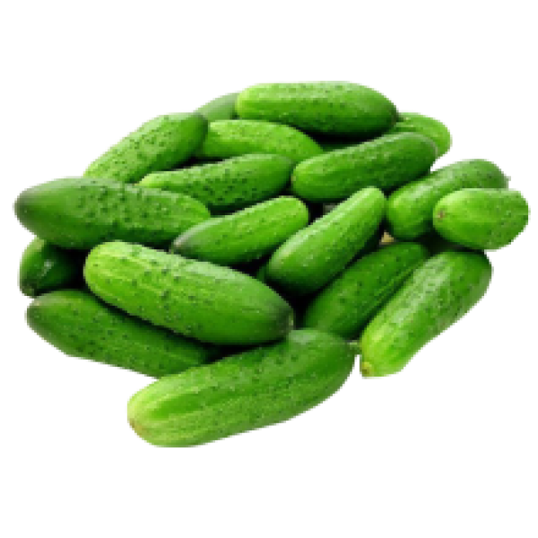 Fresh Cucumbers 1kg