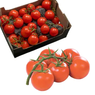 Vine Tomatoes (Class I)-1kg