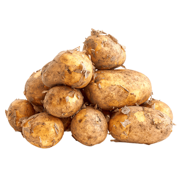 Fresh Potatoes in Bag 2.5kg Lithuanian