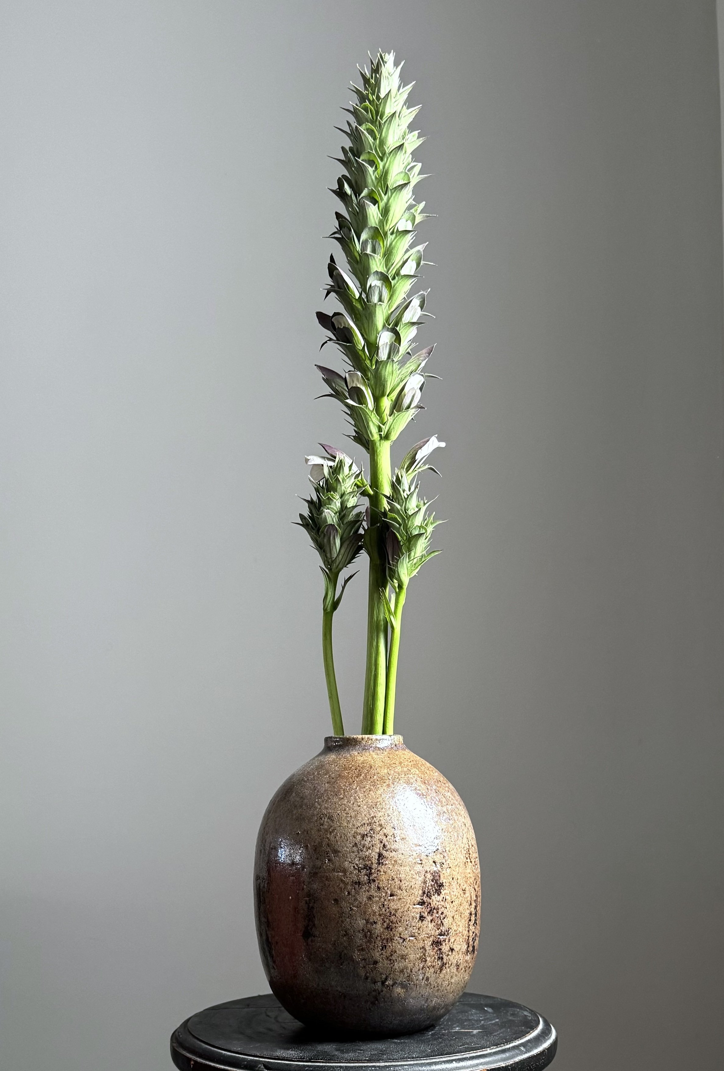 Handmade Ceramic Vase/ Spain
