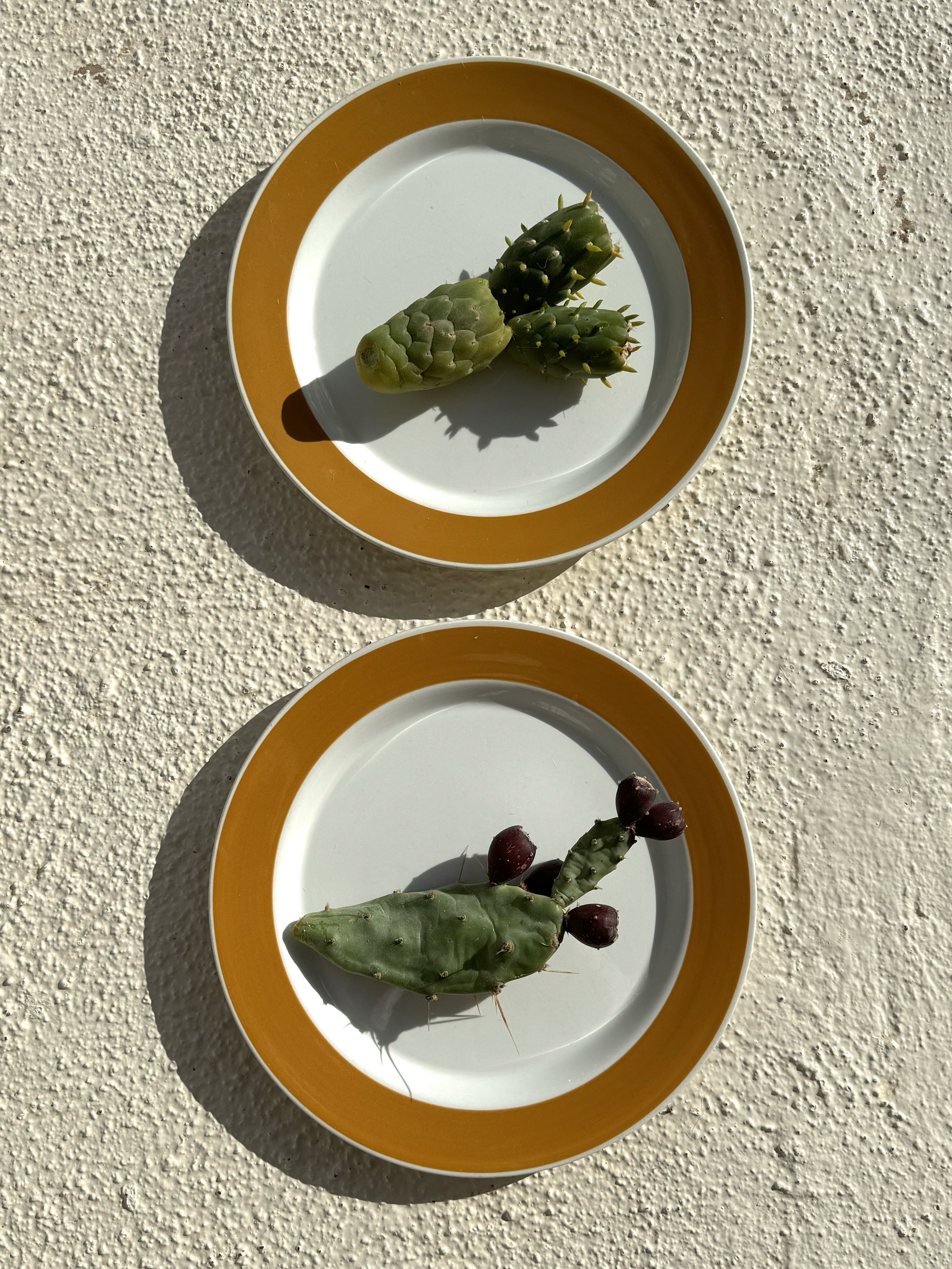 Ceramic plates, Finland / company Arabia, 1965-1970