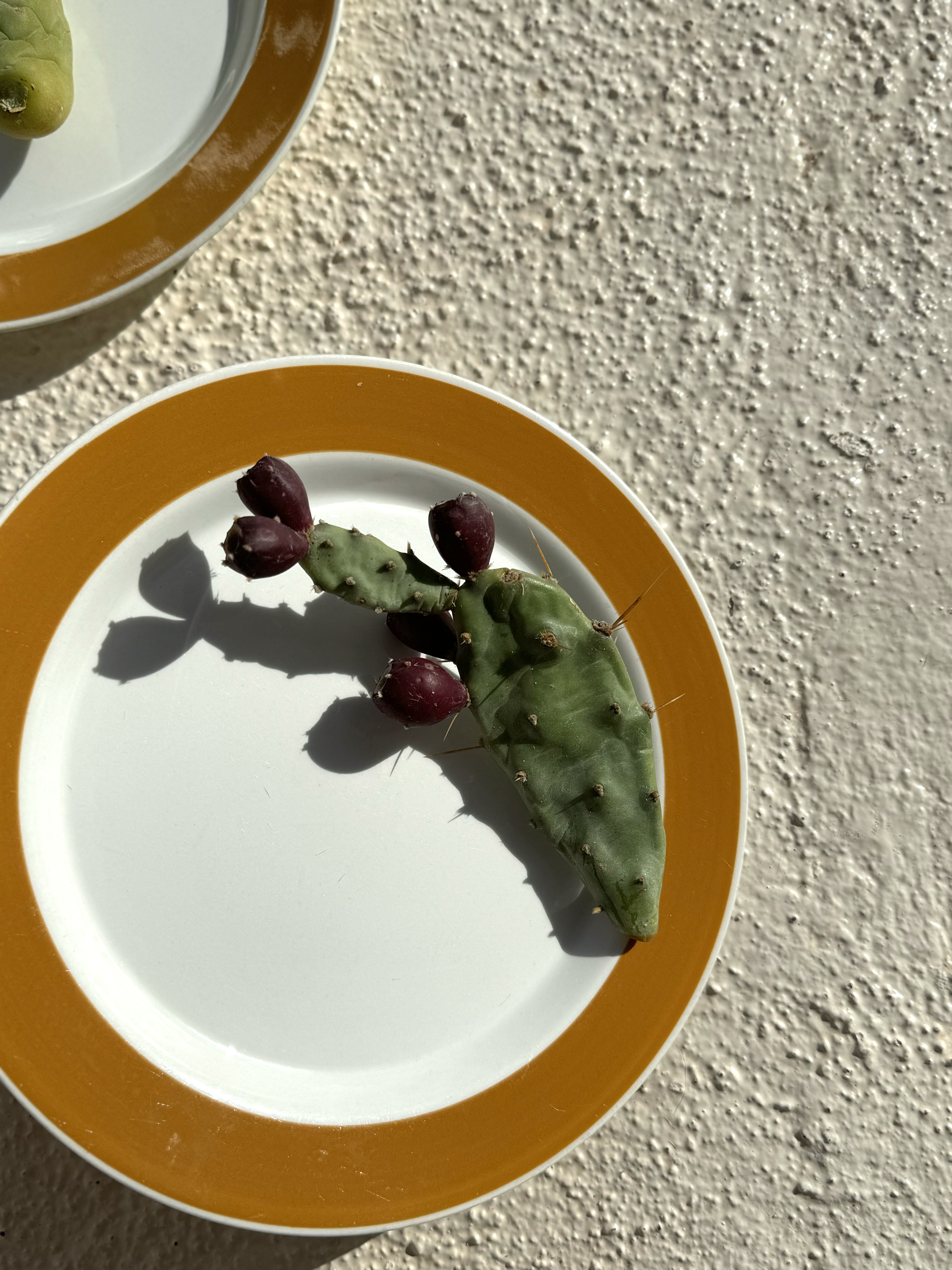 Ceramic plates, Finland / company Arabia, 1965-1970