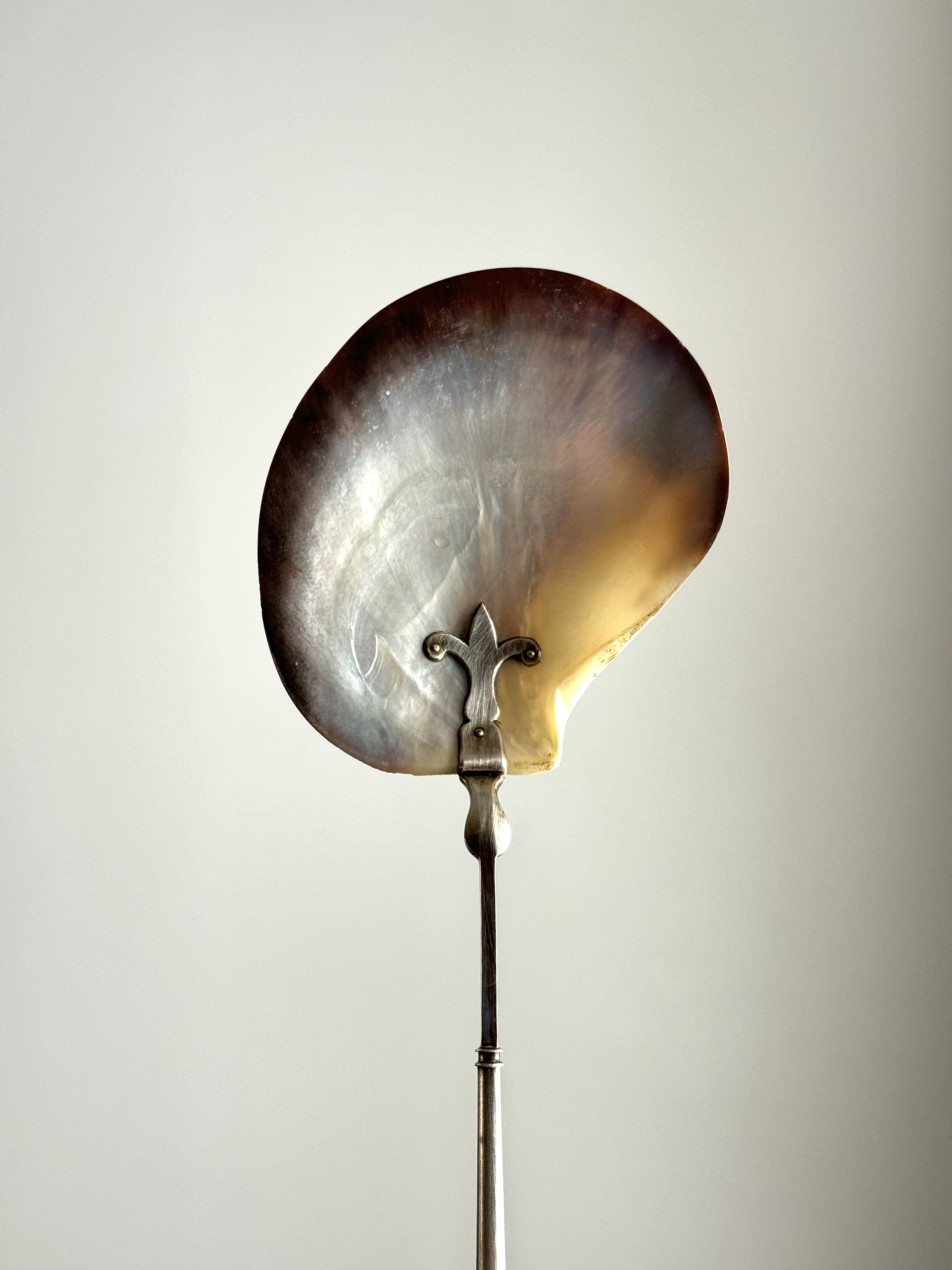 Mother of Pearl Serving Spoon with Unusual Silver-Plated Handle