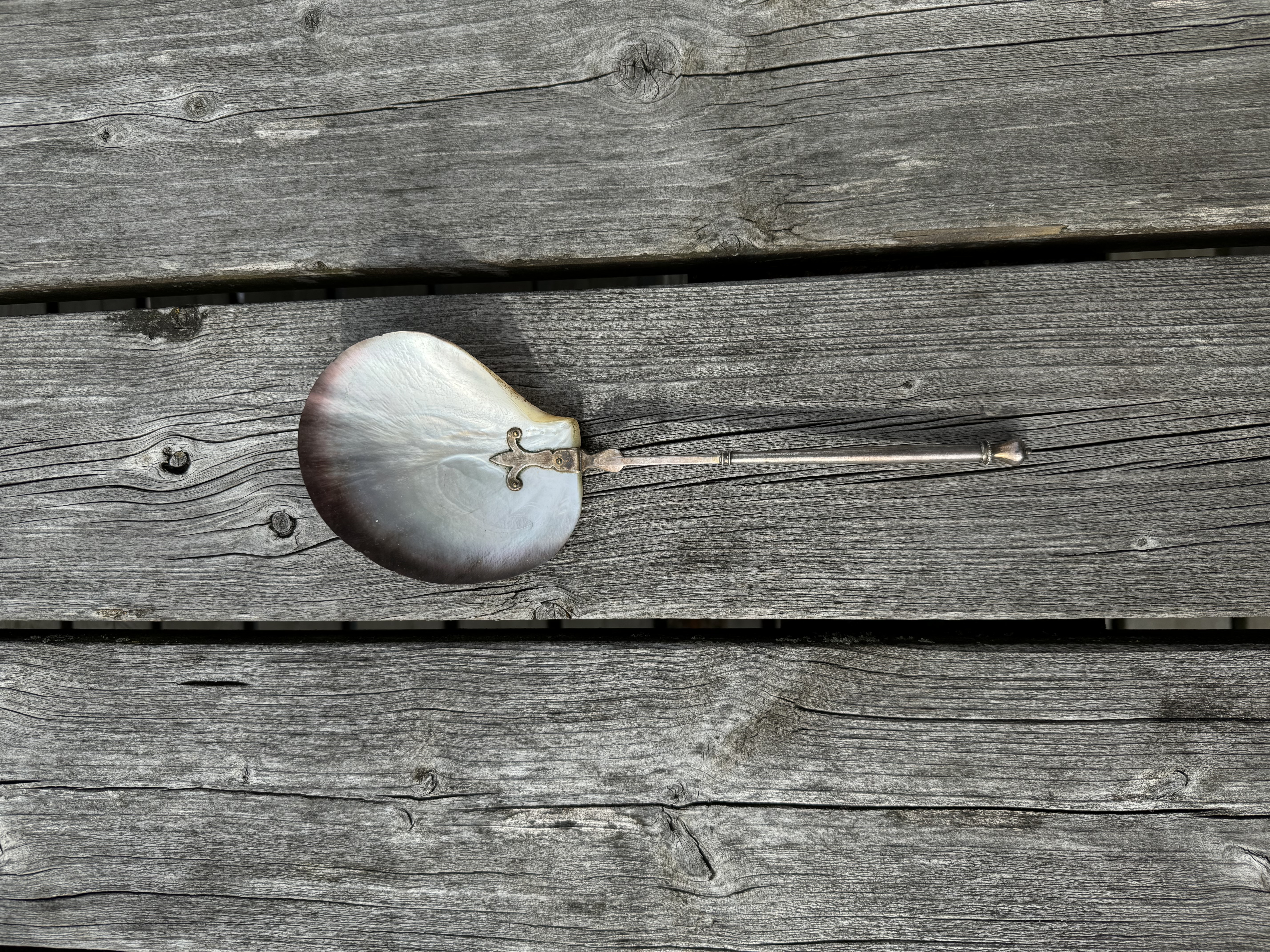 Mother of Pearl Serving Spoon with Unusual Silver-Plated Handle